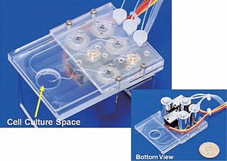 All-In-One PDMS Chip