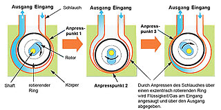 Ring Pump Schlauchpumpen Prinzip